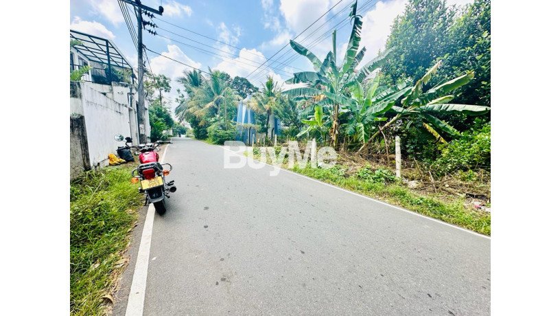 land-for-sale-in-battaramulla-robert-gunawardhana-road-s242-big-5