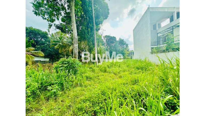 land-for-sale-in-battaramulla-robert-gunawardhana-road-s242-big-0