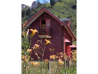 TEA ESTATE AVAILABLE FOR SALE IN NUWARAELIYA, HEWAHATA