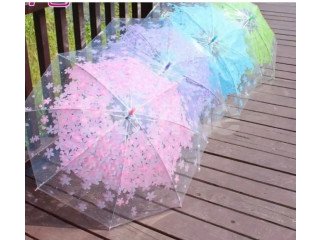 TRANSPARENT UMBRELLA