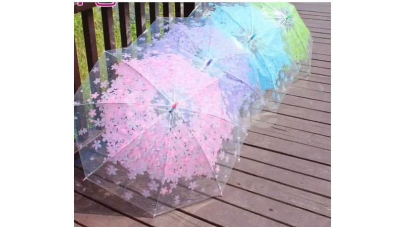 transparent-umbrella-big-0