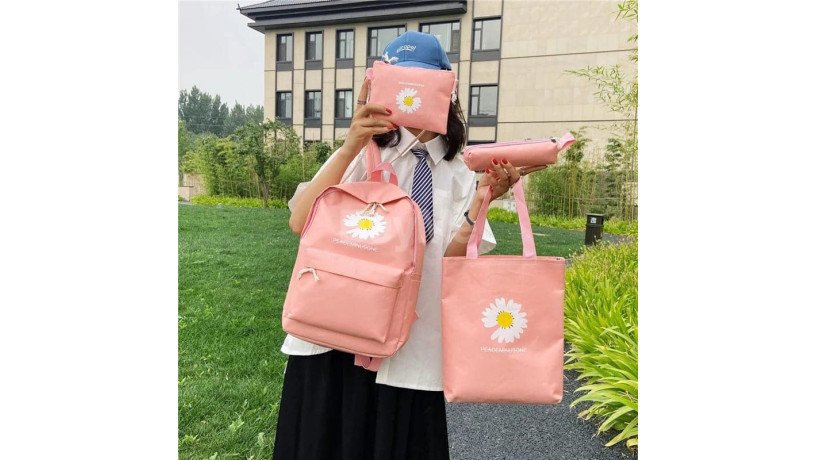 4-pcs-set-pink-bag-big-0