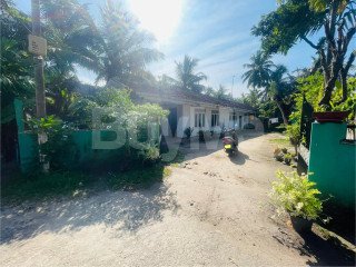 VALUABLE LAND WITH A HOUSE FOR SALE IN NEGOMBO