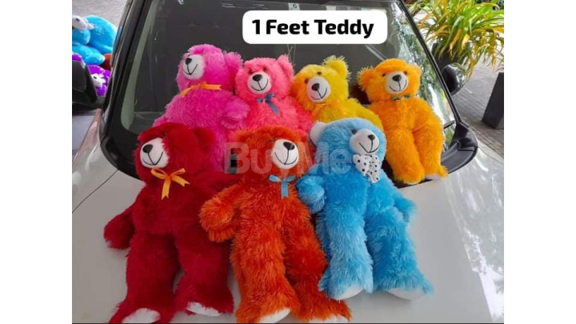 teddy-collection-1-feet-big-0