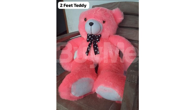 teddy-collection-big-0