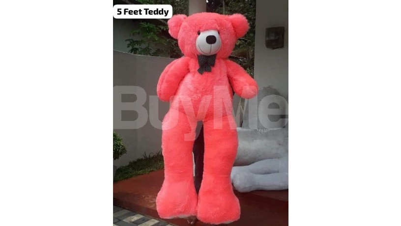 teddy-collection-2-feet-big-0