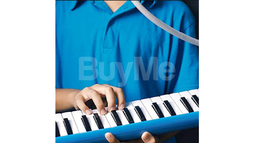 melodica-32-keys-with-soft-case-big-6
