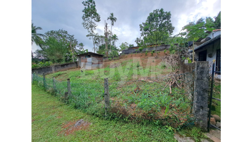 land-for-sale-in-ginigathena-nuwara-eliya-big-5