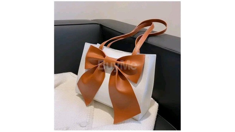 handbag-collection-for-ladies-big-0