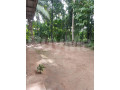 land-with-house-for-sale-in-horana-boralugoda-small-4