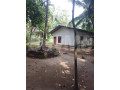land-with-house-for-sale-in-horana-boralugoda-small-7