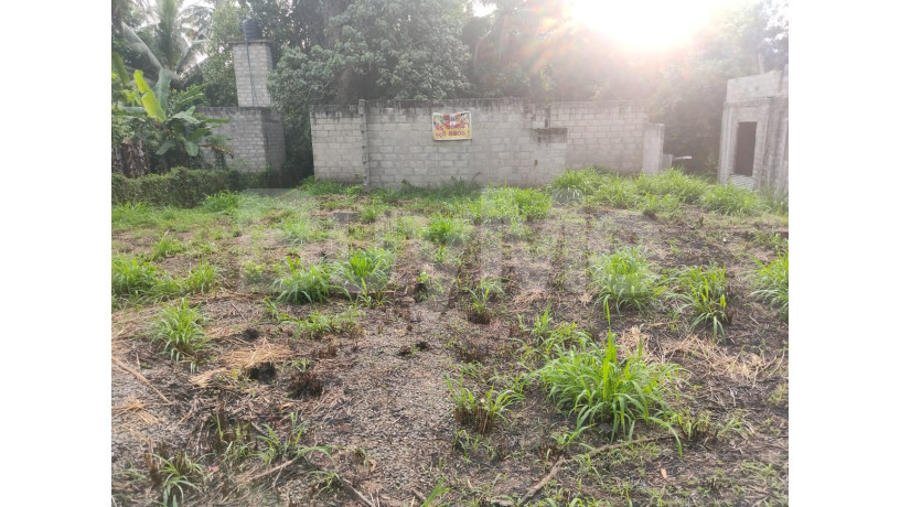 land-with-house-for-sale-in-gampaha-big-0