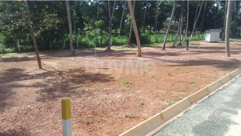 land-for-sale-in-seeduwa-golden-gate-by-savi-lands-big-0