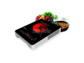 krypton-infrared-cooker-small-1