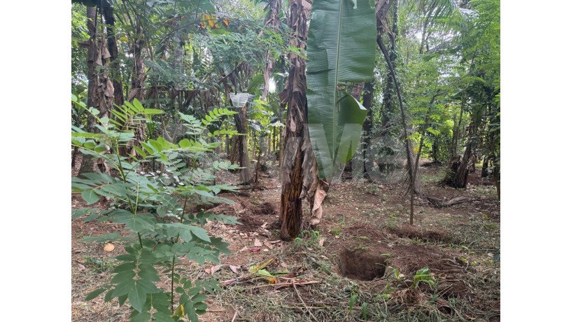 land-for-sale-in-a9-road-matale-big-2