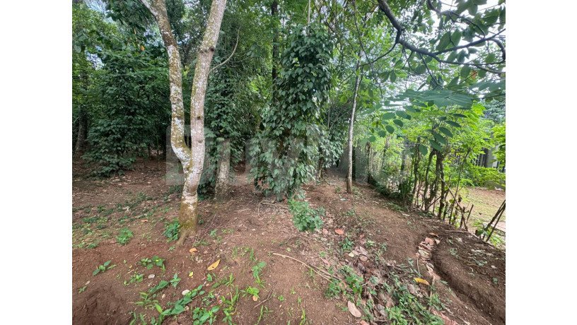 land-for-sale-in-a9-road-matale-big-0