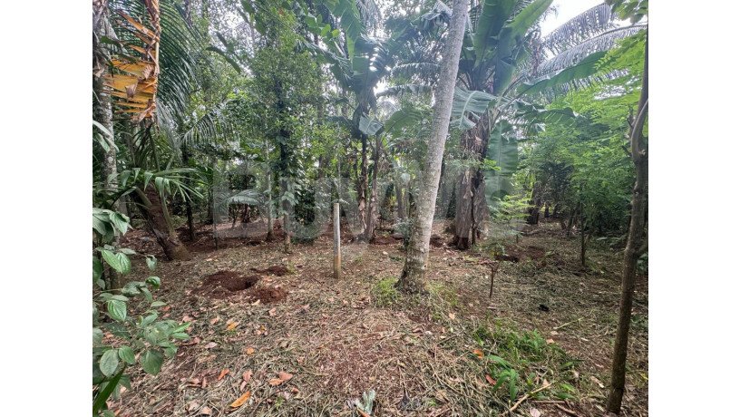 land-for-sale-in-a9-road-matale-big-4