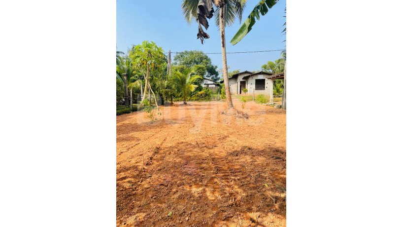 land-for-sale-in-dewalapola-gampaha-big-2