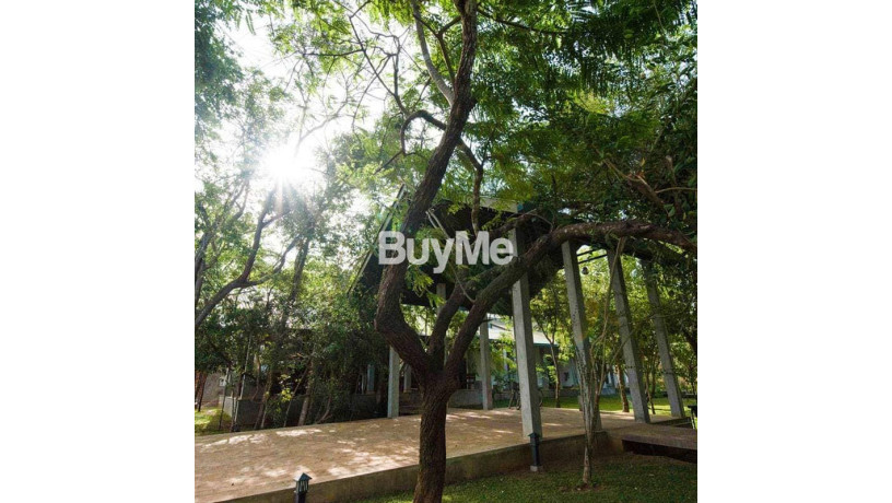 tourism-hotel-available-for-sale-in-mathale-sigiriya-big-3