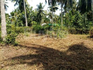 LAND FOR SALE IN NATTANDIYA