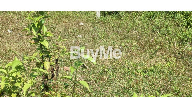 land-for-sale-in-colombo-nawagamuwa-big-2