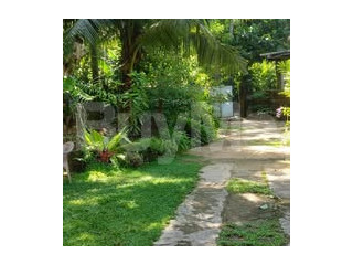 LONG TERN LAND LEASE (CLOSE TO MIDIGAMA SURF POINT)