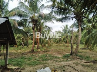 LAND FOR SALE IN SABARAGAMUWA