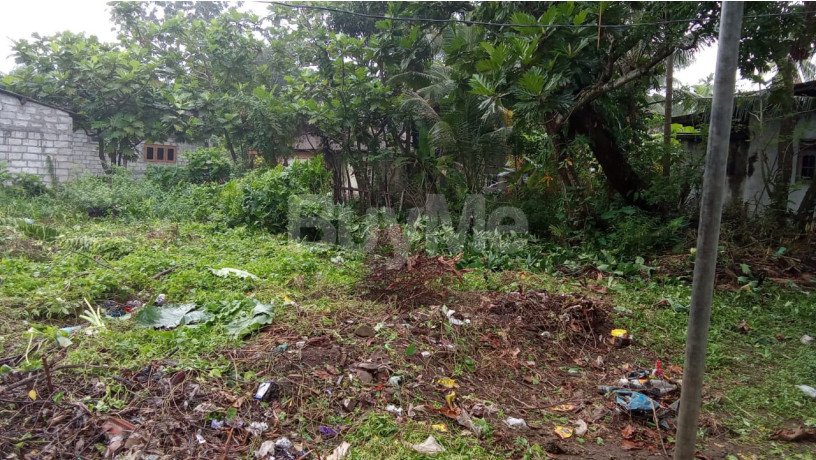 land-for-sale-in-panadura-big-0