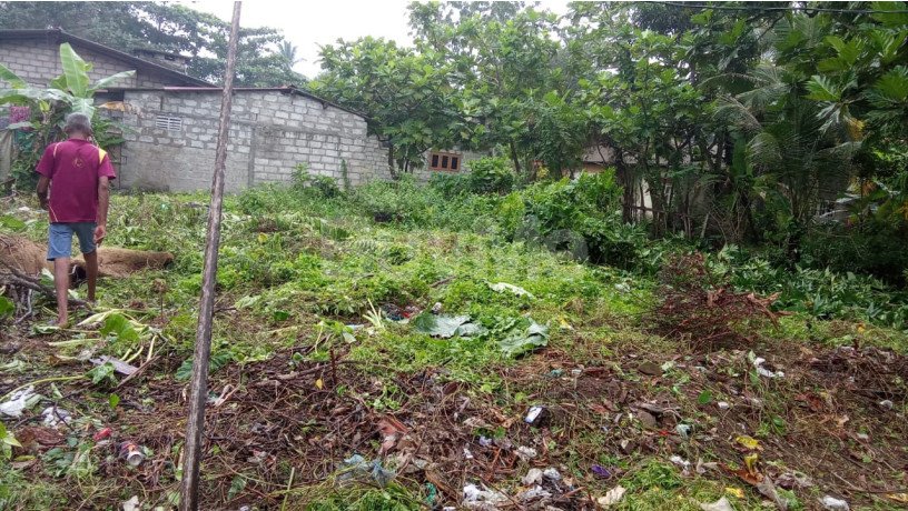 land-for-sale-in-panadura-big-2