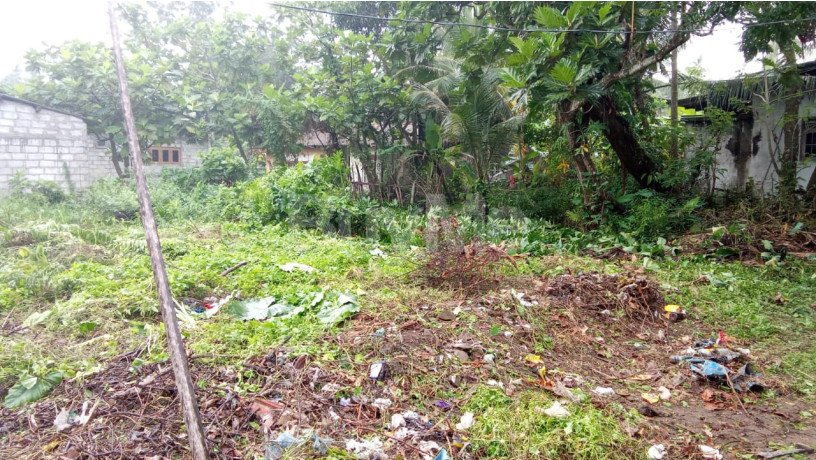 land-for-sale-in-panadura-big-1