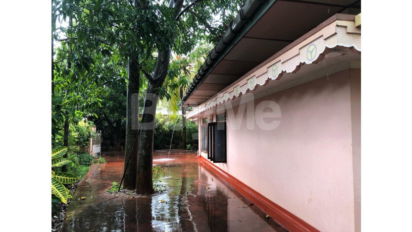 house-with-land-for-sale-in-kks-road-mallakam-jaffna-big-7