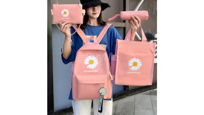 4-in-1-korean-style-backpack-big-2