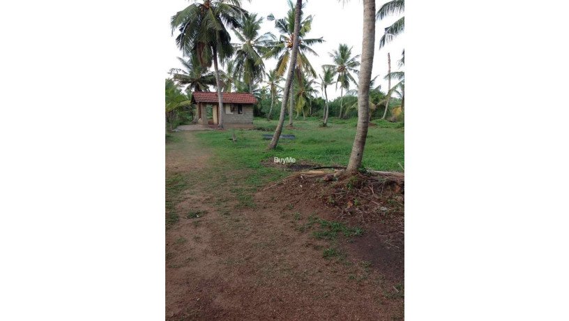 360-perches-land-for-sale-in-bopitiya-big-0