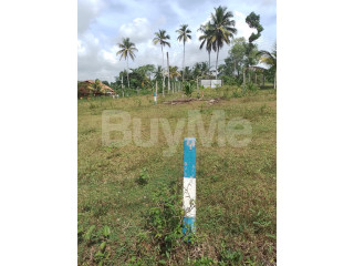 LAND FOR SALE IN PITIPANA