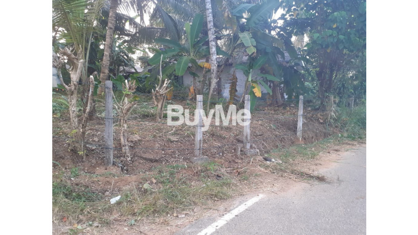 residence-land-for-sale-big-1