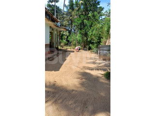 LAND FOR SALE IN MATARA TANGALLE