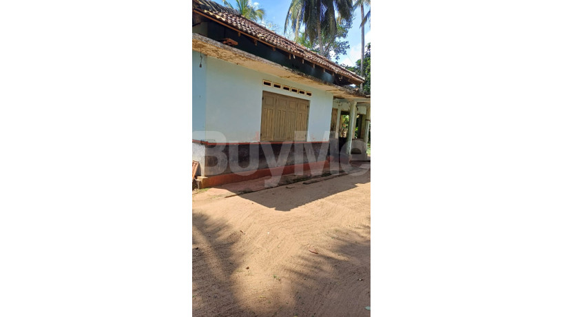 land-for-sale-in-matara-tangalle-big-5