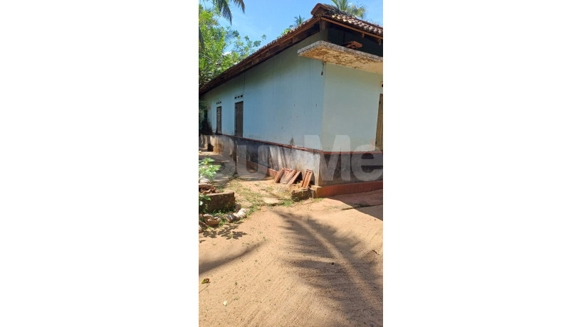 land-for-sale-in-matara-tangalle-big-1