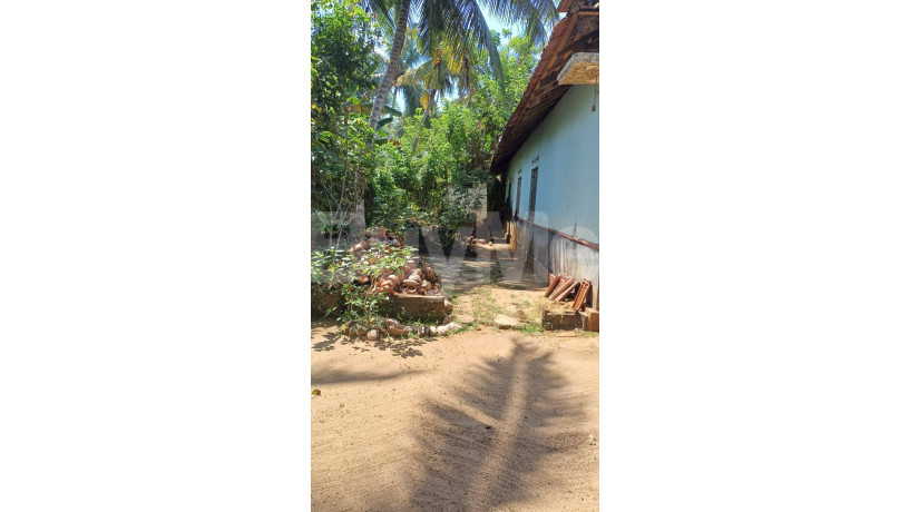 land-for-sale-in-matara-tangalle-big-4