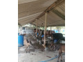 coconut-land-with-farm-house-small-1
