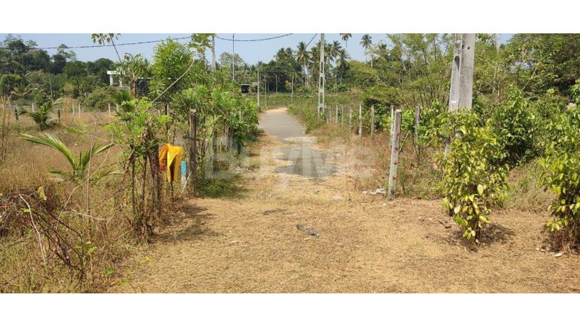 land-for-sale-in-bandaragama-big-2