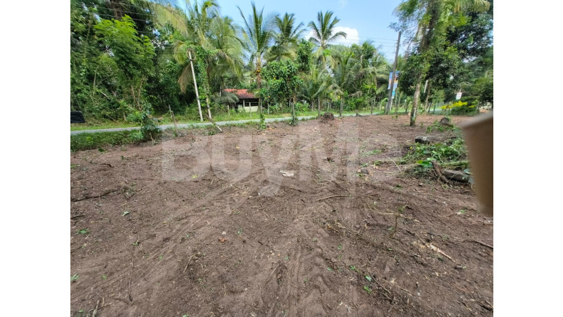 commercial-land-with-house-for-sale-in-veyangoda-big-1