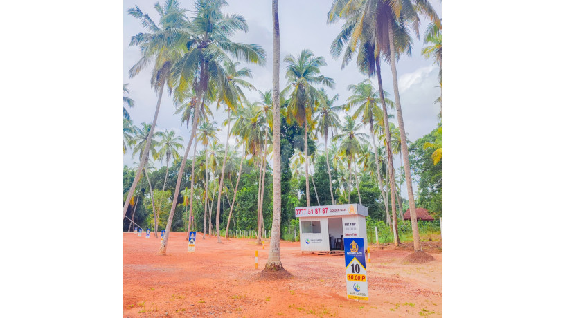 land-for-sale-in-seeduwa-golden-gate-by-savi-lands-big-0