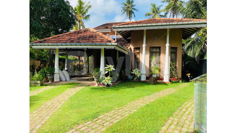 house-for-sale-in-negombo-thimbirigaskatuwa-big-0