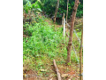 land-for-sale-in-ihalagama-ruwanwella-small-2