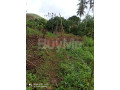land-for-sale-in-ihalagama-ruwanwella-small-6