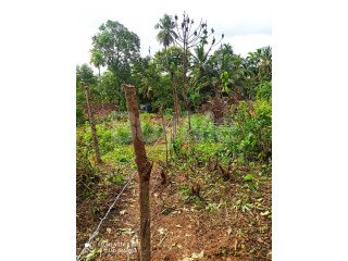 LAND FOR SALE IN IHALAGAMA RUWANWELLA