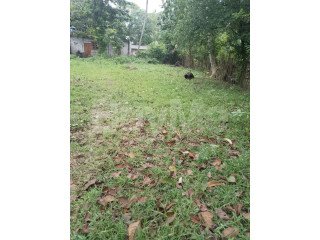 LAND FOR SALE IN HABARADUWA