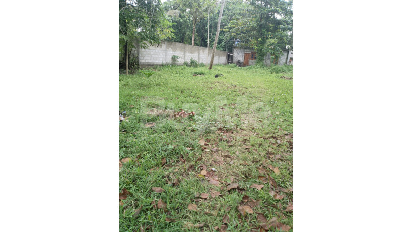 land-for-sale-in-habaraduwa-big-6