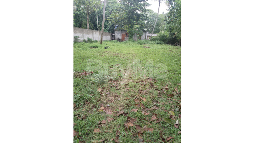 land-for-sale-in-habaraduwa-big-5